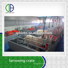 Porc Cage Usine D&#39;approvisionnement Durable Qualité Porc Farrow Pen Vente